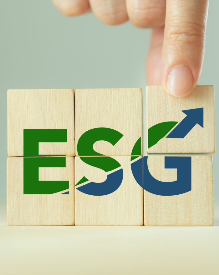 ESG: environmental, social and governance