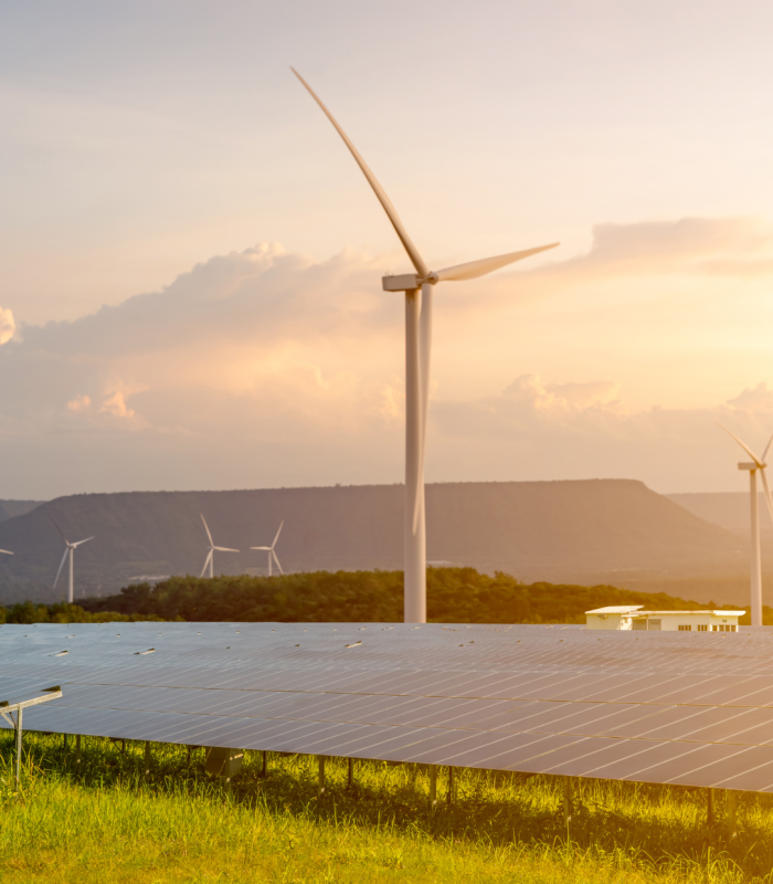 Renewable energy: wind turbines and solar panels